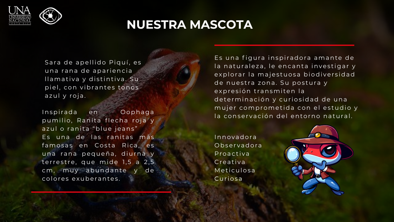 NUESTRA MASCOTA
Sara de apellido Piquí, es una rana de apariencia Ilamativa y distintiva. Su piel, con vibrantes tonos azul y roja.
Inspirada en Oophaga pumilio, Ranita flecha roja y azul o ranita 